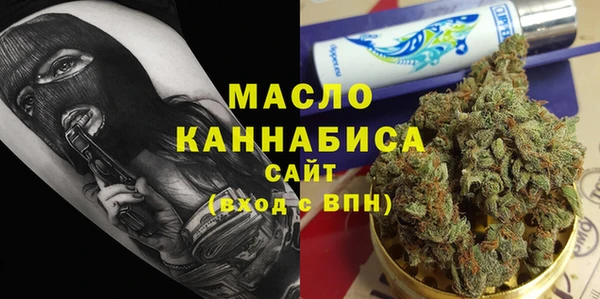 сатива Няндома