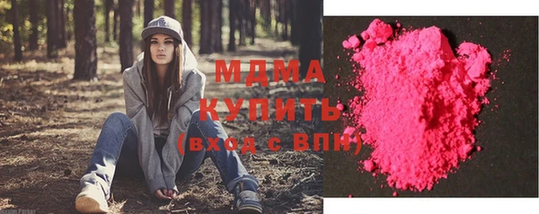 сатива Няндома